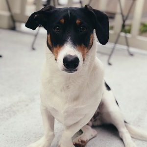 Fundraising Page: Kara Alley